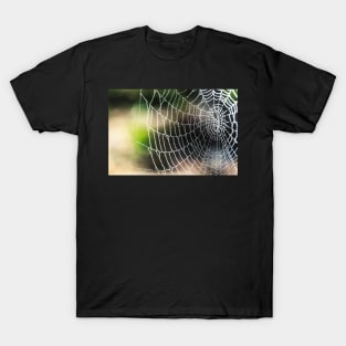 Arachnid artistic blur bokeh T-Shirt